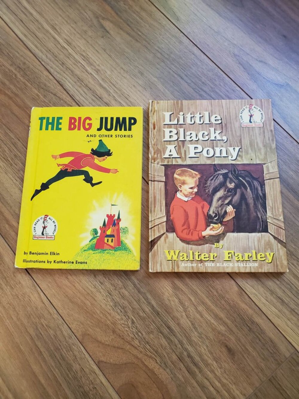 Vintage Cloth The Big Jump & Little Black a Pony Books Dr. Seuss Beginner Books